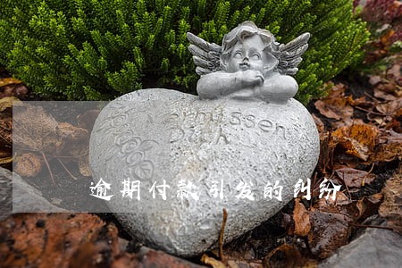 逾期付款引发的纠纷 逾期付款引发的纠纷