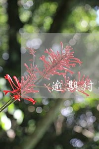 逾期付款待签收的意思