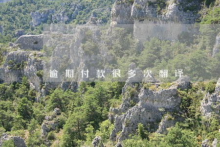 逾期付款很多次翻译 逾期付款很多次翻译
