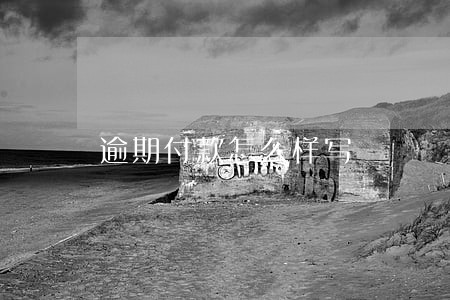 逾期付款怎么样写 逾期付款怎么样写