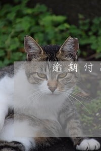 逾期付款怎么计算违约损失 逾期付款怎么计算违约损失