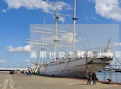 逾期付款怎样终止合同