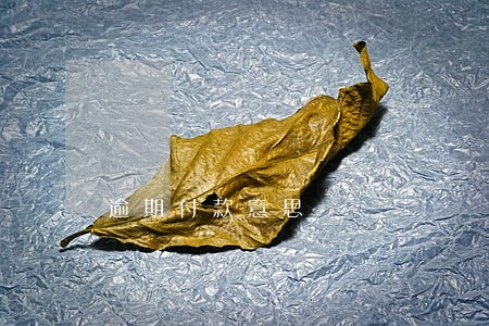 逾期付款意思 逾期付款意思