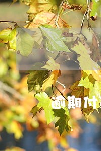 逾期付款成因 逾期付款成因