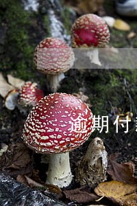 逾期付款成本太低 逾期付款成本太低