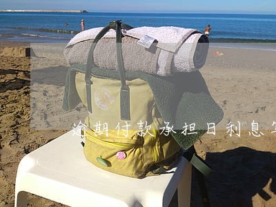 逾期付款承担日利息写法 逾期付款承担日利息写法