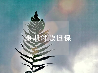 逾期付款担保 逾期付款担保