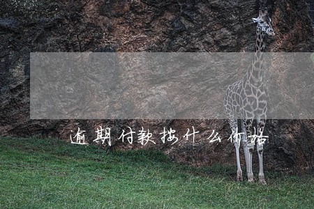 逾期付款按什么价格 逾期付款按什么价格