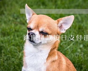 逾期付款按日支付违约金 逾期付款按日支付违约金