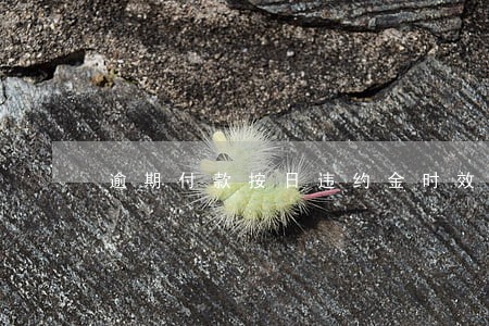 逾期付款按日违约金时效 逾期付款按日违约金时效