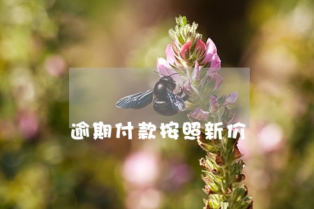 逾期付款按照新价 逾期付款按照新价