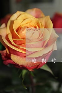 逾期付款损失与孳息 逾期付款损失与孳息