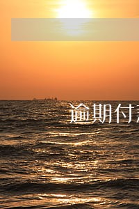 逾期付款损失主张 逾期付款损失主张