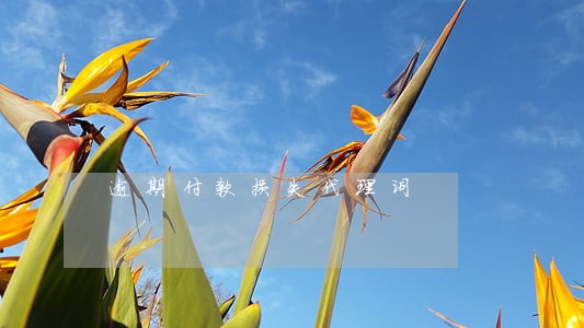 逾期付款损失代理词 逾期付款损失代理词