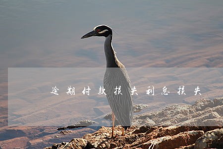 逾期付款损失利息损失