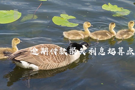 逾期付款损失利息起算点