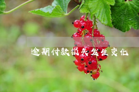 逾期付款损失发生变化