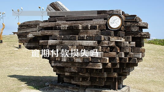 逾期付款损失吗 逾期付款损失吗
