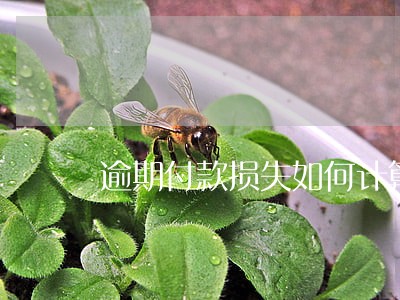 逾期付款损失如何计算 逾期付款损失如何计算