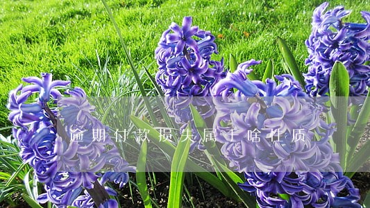 逾期付款损失属于啥性质 逾期付款损失属于啥性质