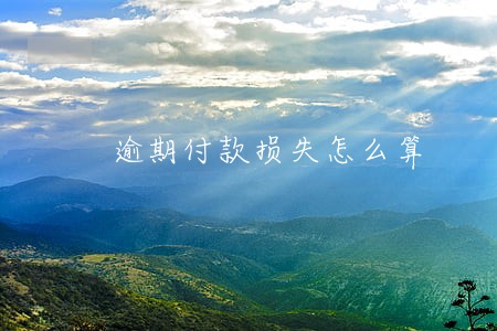 逾期付款损失怎么算