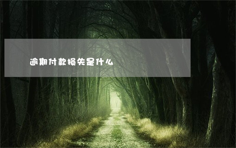 逾期付款损失是什么 逾期付款损失是什么