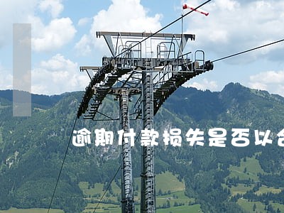 逾期付款损失是否以合同有效 逾期付款损失是否以合同有效