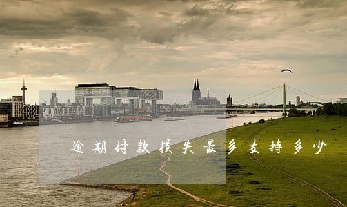 逾期付款损失最多支持多少