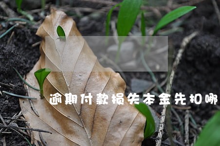 逾期付款损失本金先扣哪个 逾期付款损失本金先扣哪个