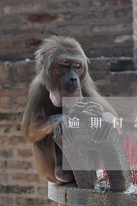 逾期付款损失法条 逾期付款损失法条