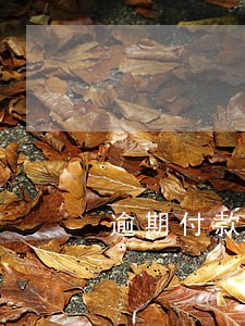 逾期付款损失的司法解释