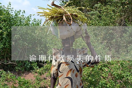 逾期付款损失的性质 逾期付款损失的性质