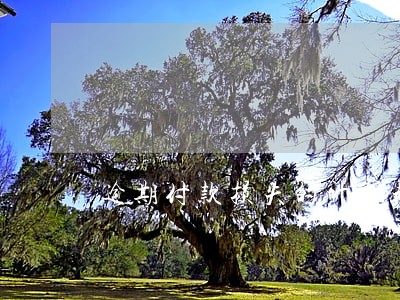 逾期付款损失的计算起点 逾期付款损失的计算起点