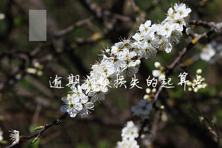 逾期付款损失的起算点 逾期付款损失的起算点