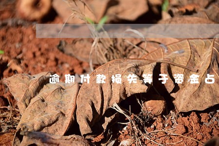 逾期付款损失等于资金占用损失吗 逾期付款损失等于资金占用损失吗