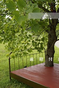 逾期付款损失计算到什么时候