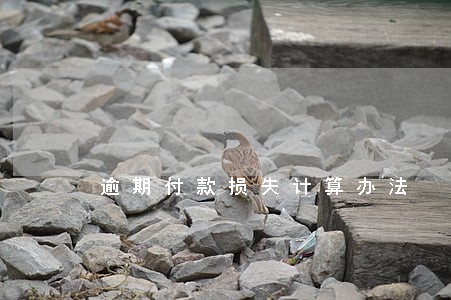 逾期付款损失计算办法
