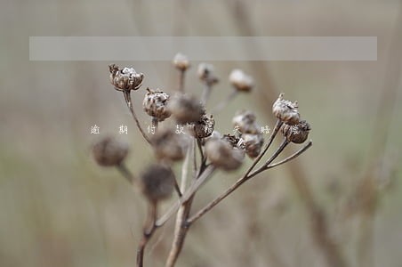 逾期付款损失赔偿