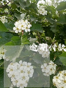 逾期付款损失需要举证吗 逾期付款损失需要举证吗