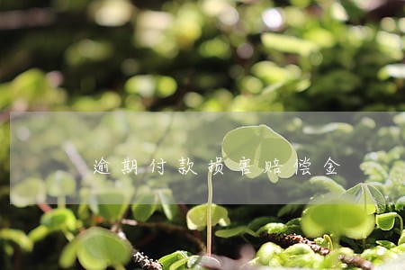逾期付款损害赔偿金 逾期付款损害赔偿金