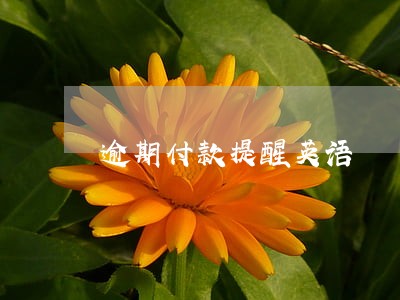 逾期付款提醒英语 逾期付款提醒英语