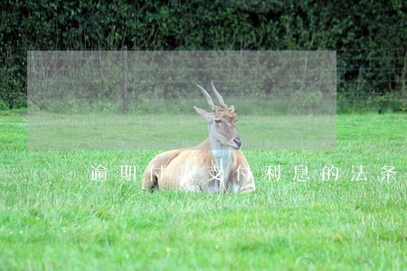 逾期付款支付利息的法条 逾期付款支付利息的法条