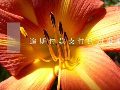 逾期付款支付的资金利息 逾期付款支付的资金利息