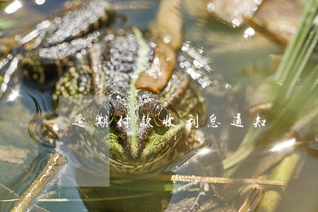 逾期付款收利息通知 逾期付款收利息通知