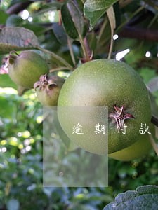 逾期付款收取利息的函 逾期付款收取利息的函