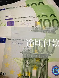 逾期付款文件函