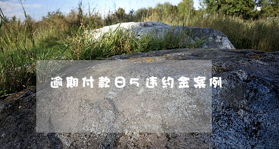 逾期付款日5违约金案例 逾期付款日5违约金案例