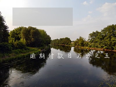 逾期付款日万分之五 逾期付款日万分之五