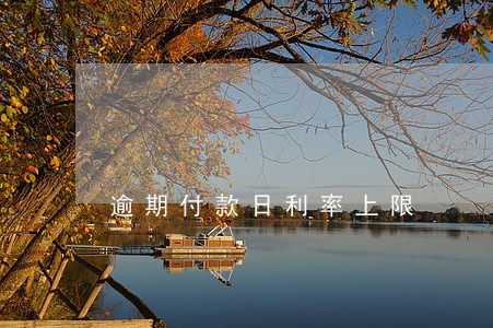 逾期付款日利率上限 逾期付款日利率上限