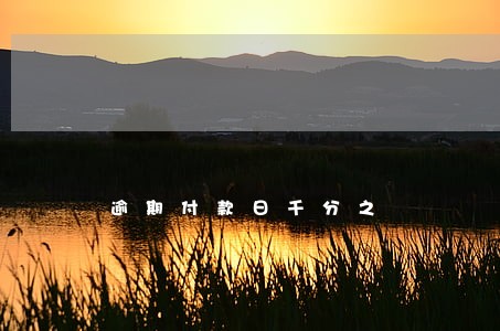 逾期付款日千分之 逾期付款日千分之